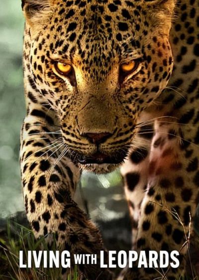 دانلود فیلم زیبای زندگی با پلنگ ها Living with Leopards با پخش آنلاین و زیرنویس چسبیده