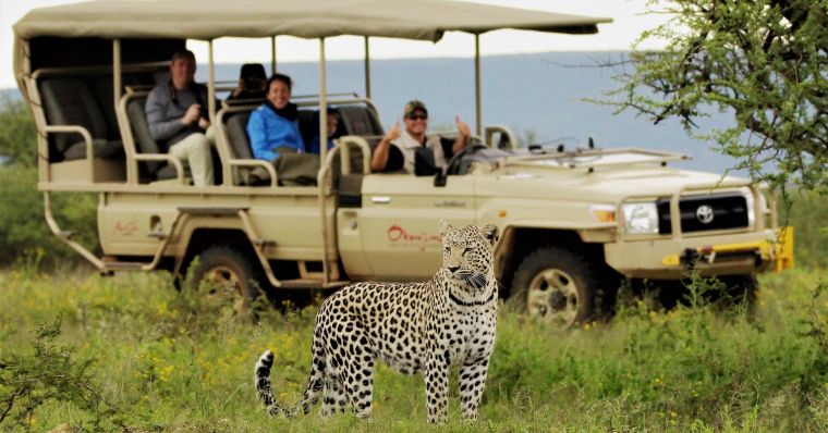 دانلود فیلم کاوشگران حیات وحش Safari: Africa با پخش آنلاین و دوبله فارسی